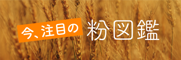 今、注目の粉図鑑