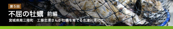 　第5回　不屈の牡蠣　前編／宮城県南三陸町　工藤忠清さんが牡蠣を育てる志津川湾にて