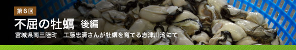 　第6回　不屈の牡蠣　後編／宮城県南三陸町　工藤忠清さんが牡蠣を育てる志津川湾にて